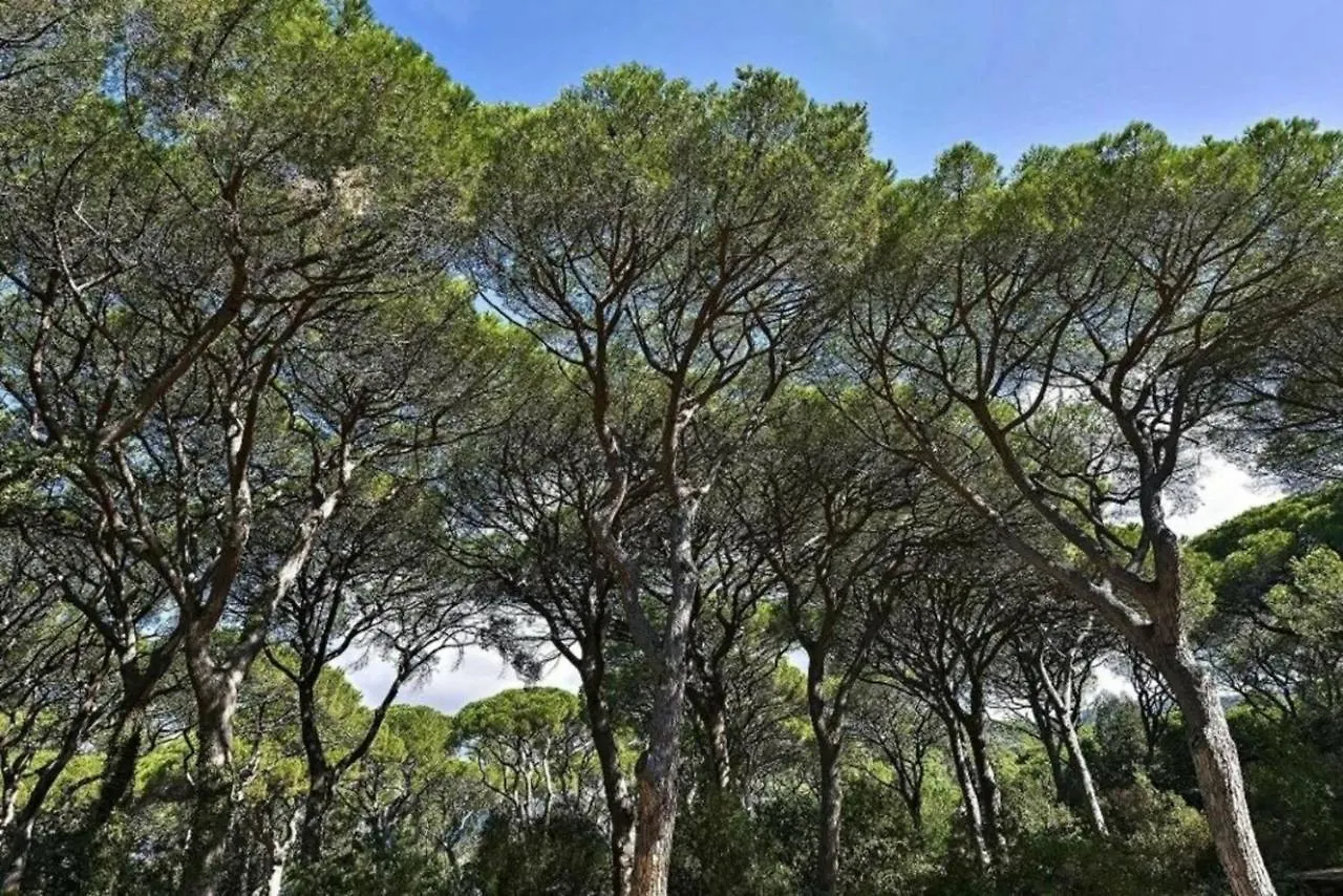 Villa Chris Castiglione della Pescaia